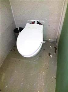 马桶人最新爆料,娱乐圈惊天内幕大曝光！